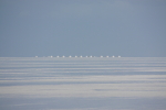 Hugh Leslie Bolivan Salt flat 2